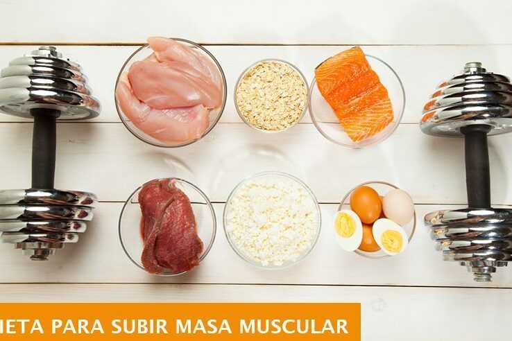 Calorías para ganar masa muscular: Guía completa y precisa